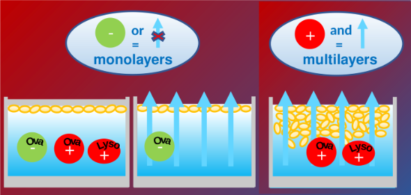 Adsorption mechanism