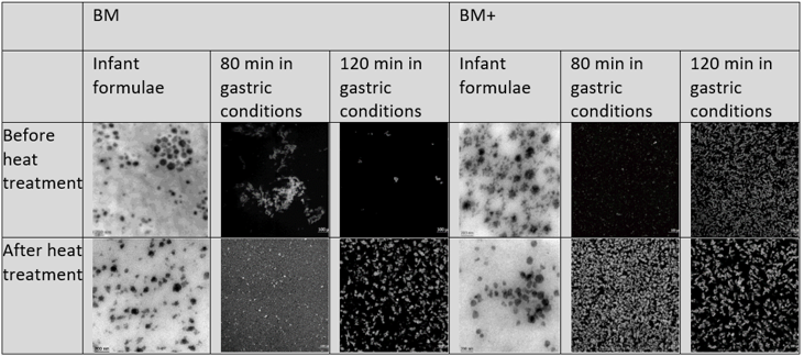 Milk microstructures