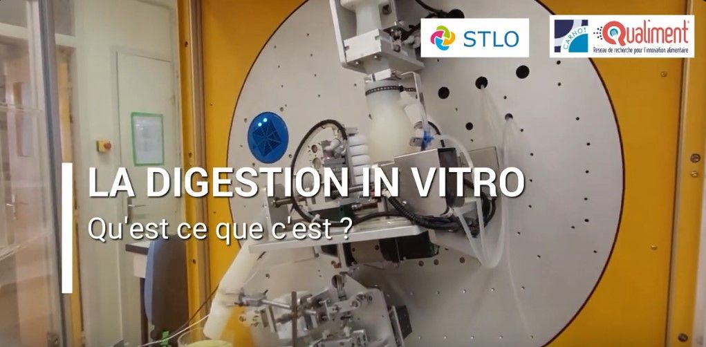 photo du digesteur in vitro
