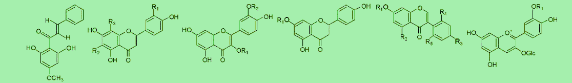molécules sur fond vert