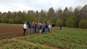 Les participants du projet Veg&Lait dans un champ de légumineuses