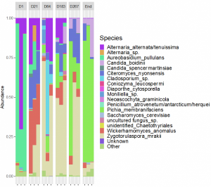 Graphe présentant les espèces  microbiennes et leur abondance dans les olives