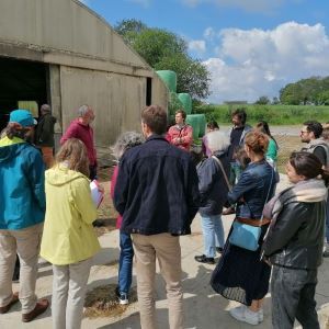 Visite de la ferme d'un partenaire de Veg&Lait