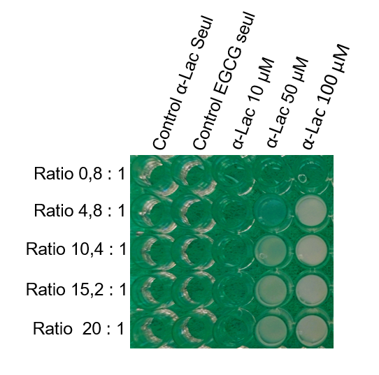 microplaque avec puits de différentes turbidités